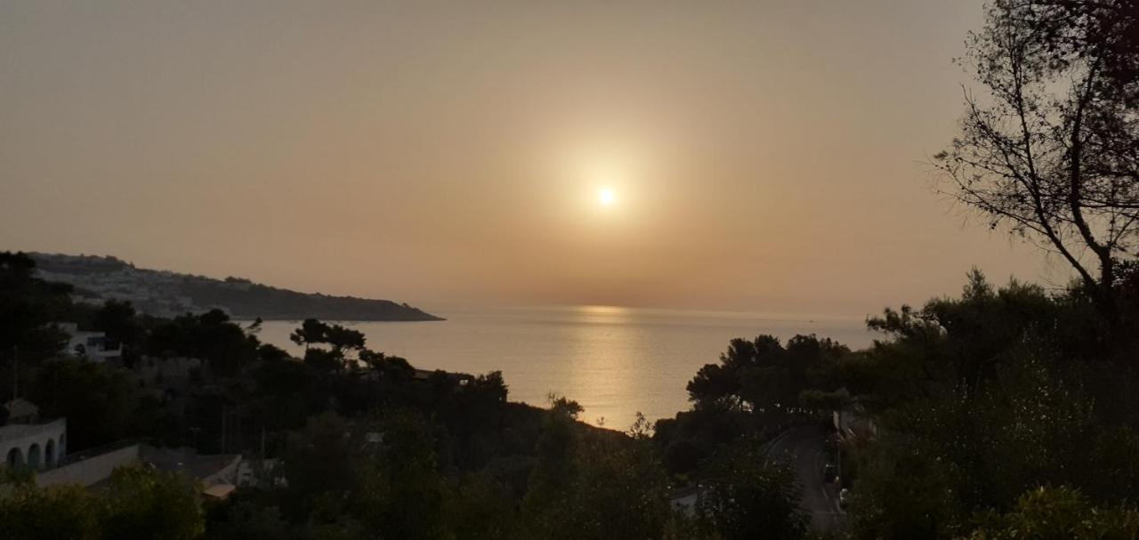 Farm Glamping Tent On Acquaviva Bay Hotel Marittima Exterior photo